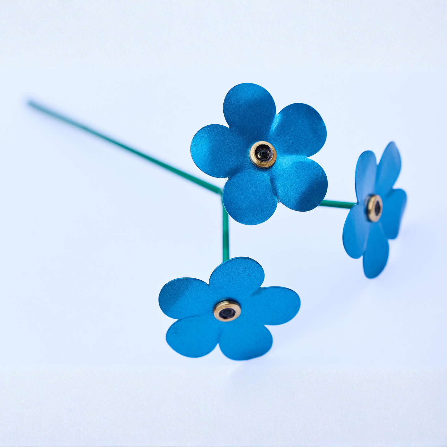 Forget-Me-Not